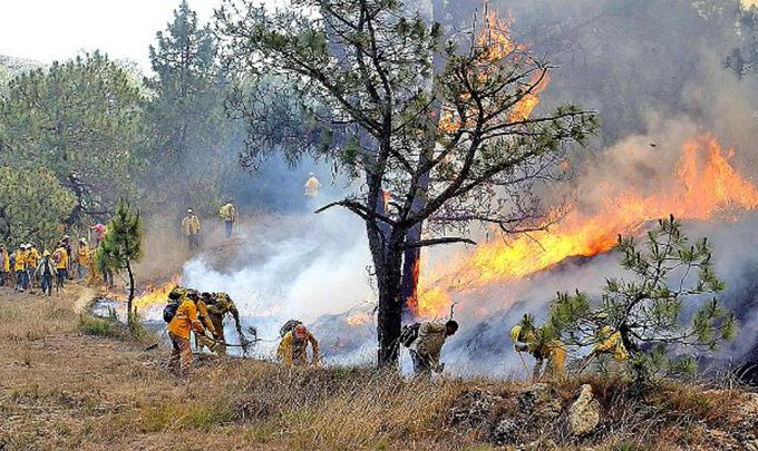 Menos daños por incendios forestales
